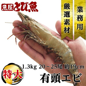 ubN^CK[ 1.3kg 19`21cm 20`25@L H Ɩp p Ⓚ i VՂ GrtC Gr` CV If ybt25