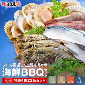 バーベキューセット 4種22品 (約4人前) 鍋 セット バーベキューセット BBQ ホタテ エビ サバ イカ 剣先いか ブラックタイガー 鍋 セット おせち 丼 送料無料 bbq2023-1a