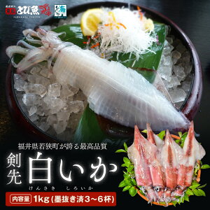yZ[N[|ōX100~ItzyiXłꋉiz攒 1kg (3`6t) nE^Ⓚς 䌧ዷւōi 񂳂CJ 䌧ዷp@Yn