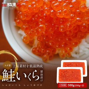 ㎿ CN ݖЂ 500g (250g×2) CN  ݖЂ AJY  ikura2404