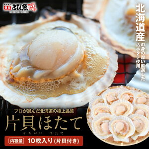 yubNtCf[Iňlɒzƌvi ЊLt ق 10 kCY Y 傫 VN   z^e o[xL[ o^[Ă O^ o[xL[ hotate