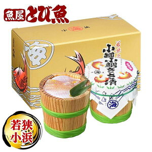 yyVX[p[SALEN[|ōX100~Itzƌvi ₳ M (180g×2M) Y R_C Yi yY  ዷl ۊC Ђ Â If kodaisasaduke2