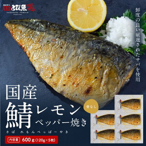 yZ[N[|ōX100~ItzyYzyȂzYTo ybp[Ă 600g (120g×5pbN)  I ybp[ YTo R Ɩp ʔ  sablemon2503