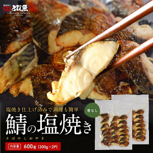 yĂdグzyȂzTỏĂ 600g (300g×2pbN) 1؂ꂠ15g 40؂  I Ă mEF[To R  Ɩp ʔ  sabs2411