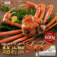 【2026年11月上旬発送★先行予約】越前ガニ 600g 未冷凍 (活 ボイルから選べる) 福井県産 国産 蟹 産地直…