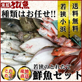 ≪家計応援価格≫ 朝獲れ 鮮魚セット 詰め合わせ 福井県産 国産 産地直送 特大 業務用サイズ 天然 獲れたて 美味しい 季節の魚介 産地直送 セール バーベキュー 送料無料 0950