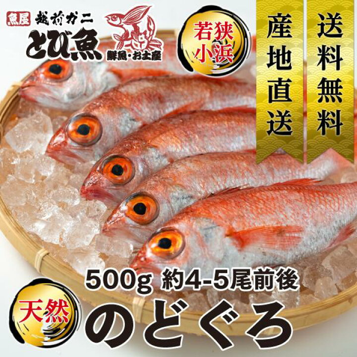 楽天市場 送料無料 のどぐろ 500g 4 5尾 国産 食べやすいサイズ 天然 アカムツ ノドグロ あかむつ 生食可 お刺身 焼き魚 海鮮 鮮度抜群 厳選素材 贈答 ギフト プレゼント お歳暮 記念日 誕生日 内祝い 送料無料 Nodoguro 越前ガニ 鮮魚専門店 魚屋とび魚