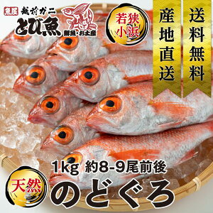 【マラソンSALE限定クーポンで更に100円オフ】≪家計応援価格≫ のどぐろ 1kg 8〜9尾 国産 業務用 食べやすいサイズ 天然 アカムツ ノドグロ あかむつ 生食可 お刺身 焼き魚 送料無料 nodoguro1kg