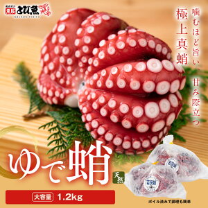 yzዷpY ł 1.2kg (2`3t) {Cς Y Ⓚ ^_R ^Rڋ hgp ܂ T_ Ă ς J[ N _CGbg btako2505