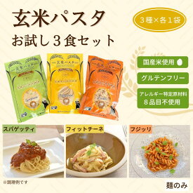 グルテンフリー 玄米 パスタ お試し 3食 セット｜小麦粉不使用 健康 ヘルシー 半生麺 フィットチーネ フジッリ スパゲッティ 熊本県産 寸志 御礼 御中元 お中元 夏ギフト お誕生日 母の日 父の日 敬老の日 内祝 御礼 お礼 お歳暮 御歳暮
