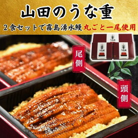 【お中元 夏ギフト】山田のうな重（2食入）｜うなぎ 国産うなぎ 鰻 蒲焼き プレゼント 贈答 贈り物 米 お米 寸志 御礼 御中元 お中元 夏ギフト お誕生日 母の日 父の日 敬老の日 内祝 御礼 お礼 お歳暮 御歳暮 土用の丑の日 丑の日
