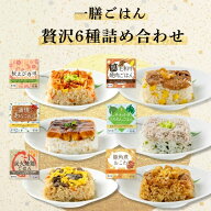 一膳ごはん 贅沢6種詰め合わせ 一粒庵 公式 おこわ 誕生日 誕生日プレゼント ギフト 御礼 お礼 御祝 お祝…