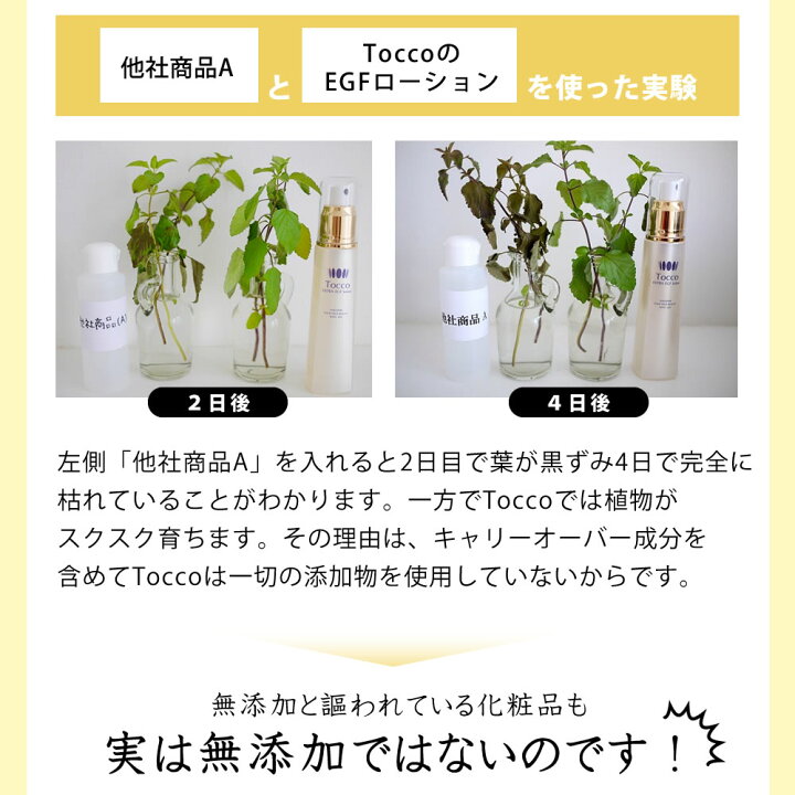 楽天市場】【楽天1位受賞】 Tocco プレミアムEローション 100ml EGF 
