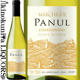 パヌール シャルドネ [2024] 白ワイン 辛口 750ml / チリ セントラル ヴァレー クリコ ヴァレーD.O. / エラスリス オバリェ Vinedos Errazuriz Ovalle S.A. Panul Chardonnay [MTKM]