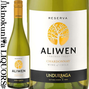 Eh[K / AEF Zo Vhl [2019] C h 750ml / ` D.O.Zg @[ Aliwen Reserva Chardonnay