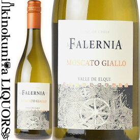 【SALE】ビーニャ ファレルニア / モスカート ジャッロ [2021] 白ワイン 辛口 750ml / チリ エルキ ヴァレー VINA FALERNIA Moscato Giallo