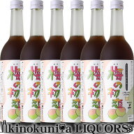 ケース販売【6本入】梅の初恋 720ml 中野BC うめシロップ 和歌山県産 紀州 シロップ 送料無料 希釈用 濃…