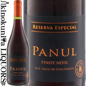 pk[ sm m[ Zo GXyV [2022][2024] ԃC ~fBA{fB 750ml / ` Zg @[ y @[ R`OA @[ D.O. Panul Pinot Noir Reserva Especial Vi