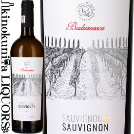 【SALE】ヴィル ブドゥレアスカ / ソーヴィニヨン&ソーヴィニヨン [2022] 白ワイン 辛口 750ml / ルーマニア ムンテニア デアル マーレ D.O.C.デアル マーレ Viile Budureasca Sauvignon & Sauvignon