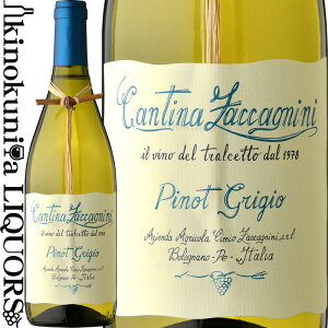 smO[W eb _ubcH [2024] C h 750ml / C^A ebEfELGeBIGT / `b`I UbJj[j Ciccio Zaccagnini PINOT GRIGIO TERRE DI CHIETI