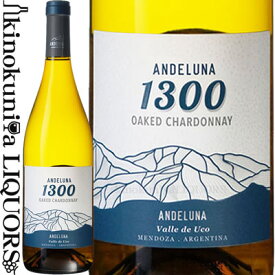 アンデルーナ シャルドネ [2020] 白ワイン 辛口 750ml / アルゼンチン メンドーサ アンデルーナ セラーズ Andeluna Chardonnay