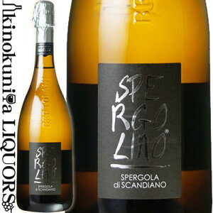 XyS[m tbc@e [NV]  Xp[OC h 750ml / C^A G~[A}[j/ At[h xg[j Spergolino Frizzante Alfredo Bertolani