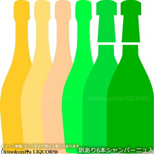 󂠂蕟܁@Vp2{{E̖A4{@Xp[NO6{Zbgyz h𒆐Sɂl߂܂ xsǁAxA݌ɒȂǂi@Vp[jɁAJ