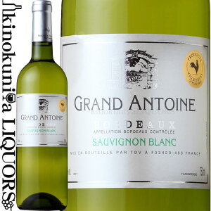 O Ag[k AC {h[ u [2020] C h 750ml / tX {h[ AC Vg[ O Ag[k Producta Grand Antoine AC Bordeaux Blanc / Chateau Grand Antoine 