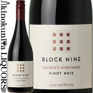 ubN iC / PCfY B[h smm[ [2022] ԃC ~fBA{fB 750ml / AJ JtHjA Block Nine CAIDEN'S Vineyard Pinot Noir