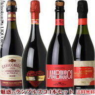 やや甘口 イタリアの泡 ランブルスコ4本セット 【送料込】スパークリングワインセット 飲み比べ ギフト …