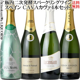 CAVA デイリーにおすすめ泡！！第二弾！！セレクト4本セット [NV] リーズナブルに瓶内二次発酵(シャンパン製法)スパークリングワイン 白 辛口 各750ml 【送料無料】／スペイン D.O.カヴァ／カバ 泡 発泡 スペインワインセット スパークリングワインセット