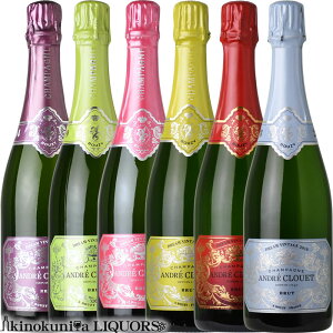 y6{ZbgzAh NG / h[ Be[W w@[W1xXp[NOC  h 750ml / tX Vp[j A.O.C. CHAMPAGNE O N ANDRE CLOUET DREAM VINTAGE wVer