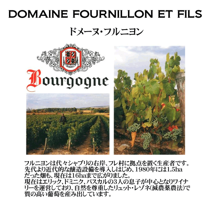 楽天市場】ドメーヌ フルニヨン エ フィス / ブルゴーニュ ブラン