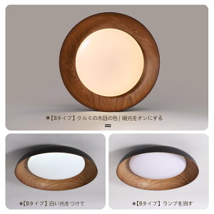 y10%OFFN[|zV[OCg a LED F Ɩ 6 8 14  k a ؖڒ  F Rt Ɩ CeA VƖ ^C}[ 铔 h Hsv 