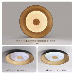 y10%OFFN[|zV[OCg a LED F Ɩ 6 8 14  k a ؖڒ  F Rt Ɩ CeA VƖ ^C}[ 铔 h Hsv 