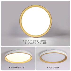 y10%OFFN[|zV[OCg a LED F Ɩ 6 8 14  k a ؖڒ  Rt CeA Abp[Cg VƖ ^C}[ 铔 h Hs