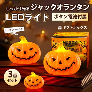【3個セット 1880円】ハロウィン 飾り ライト ハロウィーン 装飾 ランタン 置物 インテリア 雑貨 LED 光る