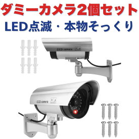 得楽商店 ダミーカメラ 2個セット 防犯対策用 ライト点灯 ネジ固定 天井/壁面 配線不要 電池式 角度調節