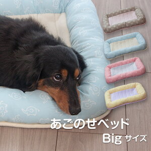 犬 毛布 タオルケット 通販 価格比較 価格 Com