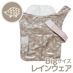 yő800~OFFN[||Cg5{zpCEFA ybgJ ybgpi 킢 񂿂p 􂦂ybg CEFA[