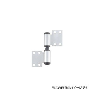 xXg Ԍ^OreBqW(ʕt)@No.604 / 1g (og[   qW gC hA  ЃxXg BEST j