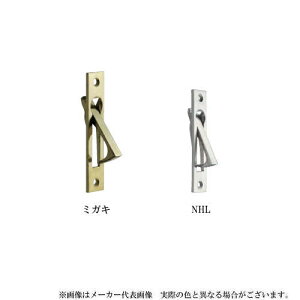 GCg ]@TM-110 TCYF dFNHL (  )