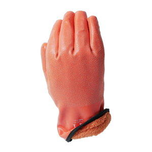 Jo[[N 2dh VRS tR[g@1o (h hO[u N {A ۉ  ʔ)