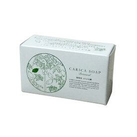 植物性カリカ石鹸 100g カリカセラピ 石鹸 固形 泡立ち クリーミー 泡パック 洗顔 洗髪 フェイスケア ぷるぷる肌 スキンケア カリカパパイア 天然 発酵 低刺激 ほんものや