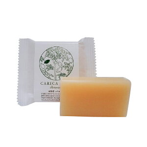 AJJΌ 30g JJZs Ό Ō` A N[~[ ApbN   tFCXPA ՂՂ锧 XLPA JJppCA VR y h ق̂