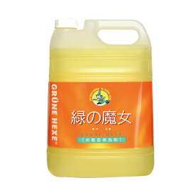 緑の魔女 お風呂用 浴槽用 浴室用 業務用 詰め替え 5リットル ミマスクリーンケア 洗剤 ほんものや