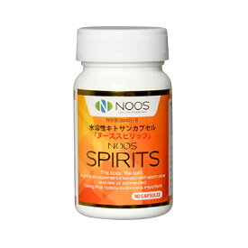 ヌーススピリッツ 315mg×90カプセル 1カ月分 キトサン配合食品 ほんものや