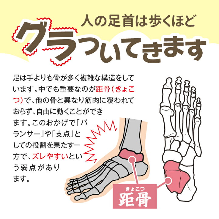 楽天市場】アシブラM01 Ashibra 足首 歪み 歩行 姿勢 荷重 サポーター 