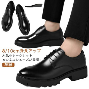 V[NbgV[Y Y rWlXV[Y 10/12cmAbv vC amC wȂ gAbv C V[Y tH[}V[Y rWlX  YC ₷ h V[gu