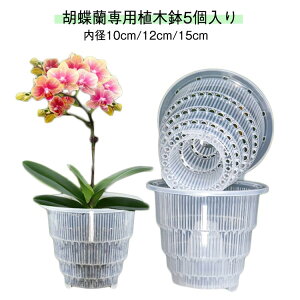 ϗtA̔  Ӓp 5 Ӓ a10cm/12cm/15cm a12cm ʋCQ h~ Aؔ Aؔ  vX`bN a15cm ̔ ^ NA rt 锫 